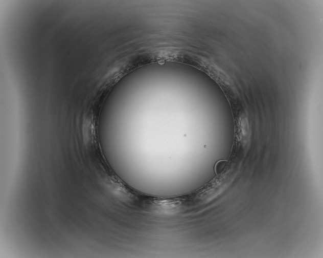 X0000116260522200911301155