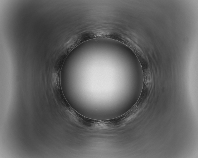 X0000116260523200911301155