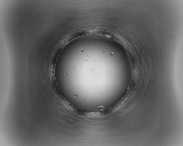 X0000116260525200911301155