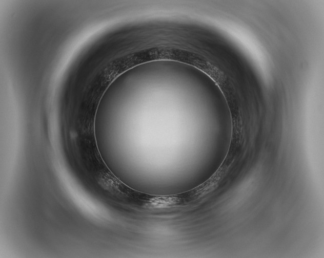 X0000116260526200911301155