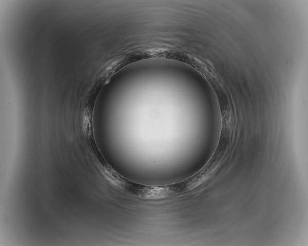 X0000116260527200911301155
