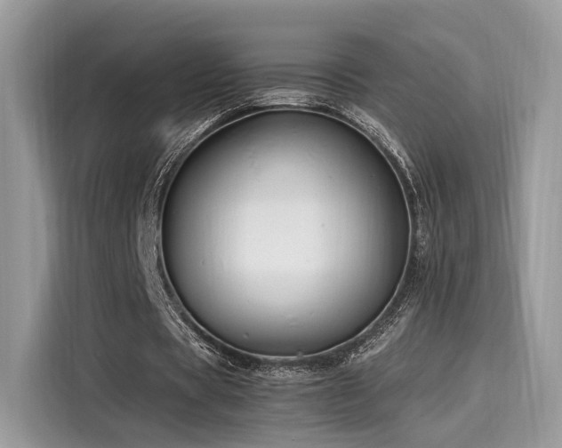 X0000116260529200911301155
