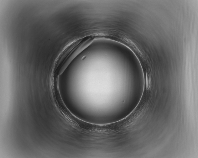 X0000116260531200911301155