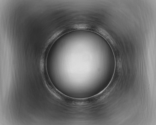X0000116260533200911301155