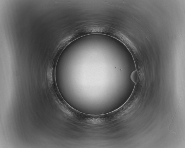 X0000116260537200911301155
