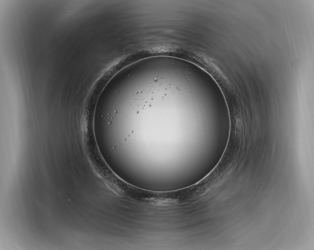 X0000116260539200911301155