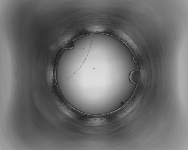 X0000116260541200911301155