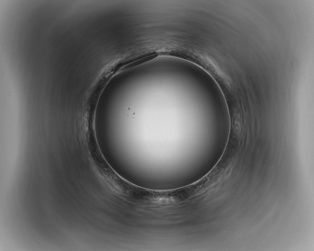 X0000116260543200911301155