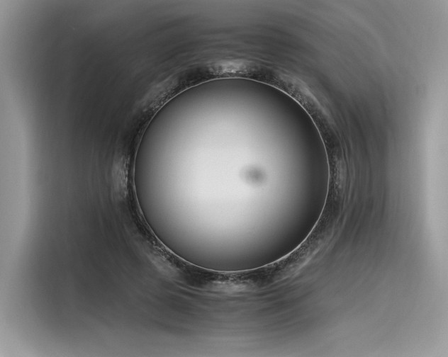 X0000116260545200911301155