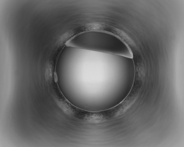 X0000116260546200911301155