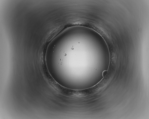 X0000116260547200911301155