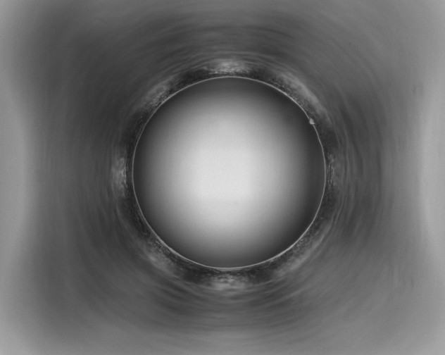 X0000116260549200911301155