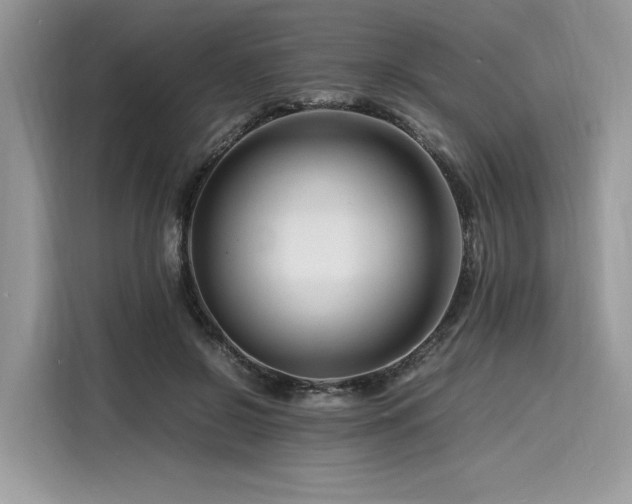 X0000116260550200911301155