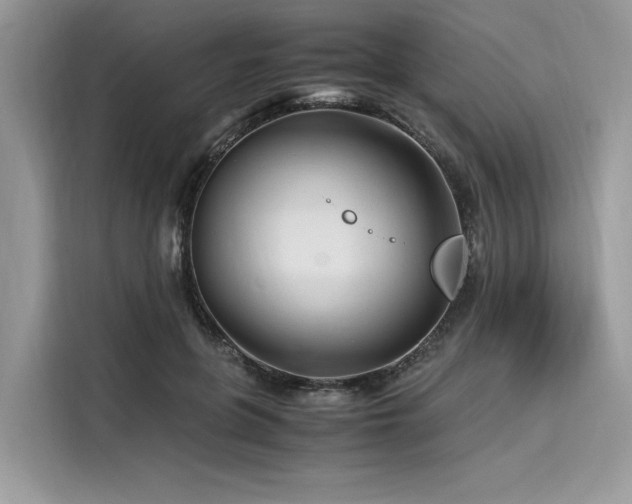 X0000116260551200911301155