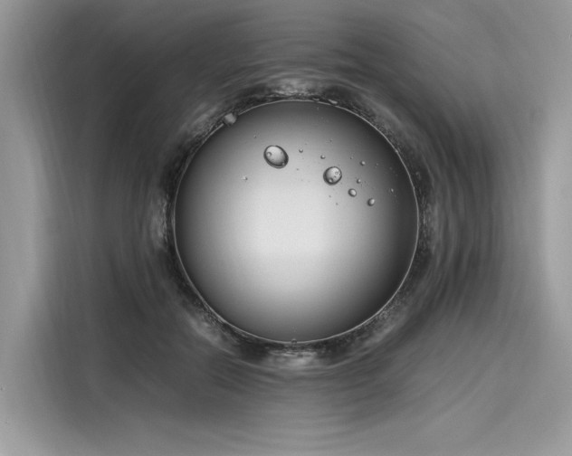 X0000116260554200911301155