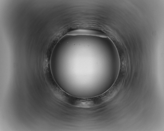 X0000116260555200911301155
