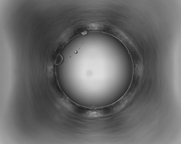 X0000116260557200911301155