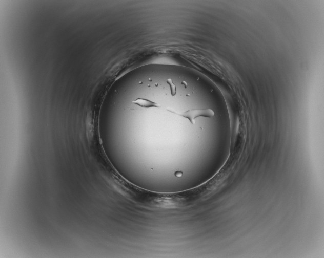 X0000116260558200911301155