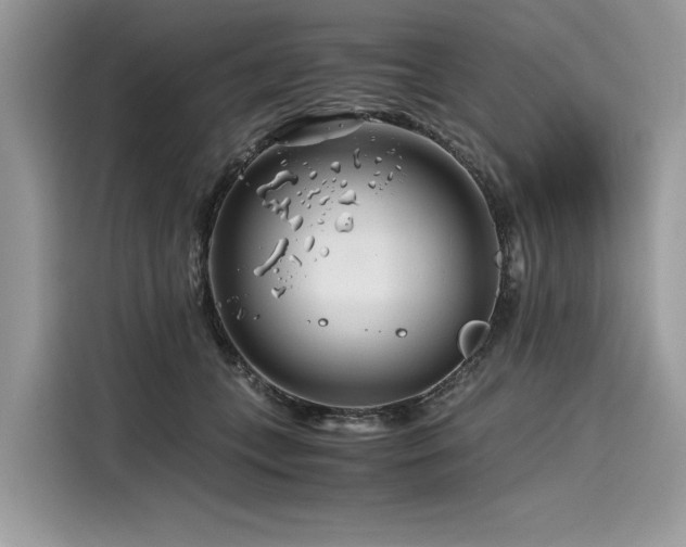 X0000116260559200911301155