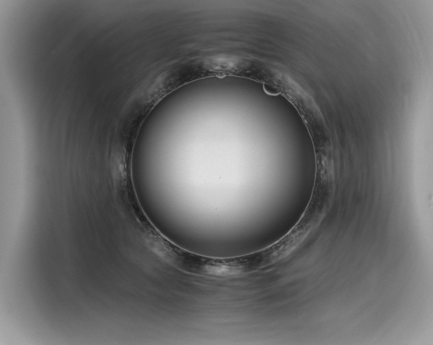 X0000116260561200911301155