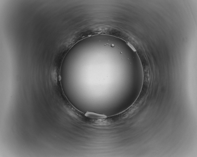X0000116260562200911301155