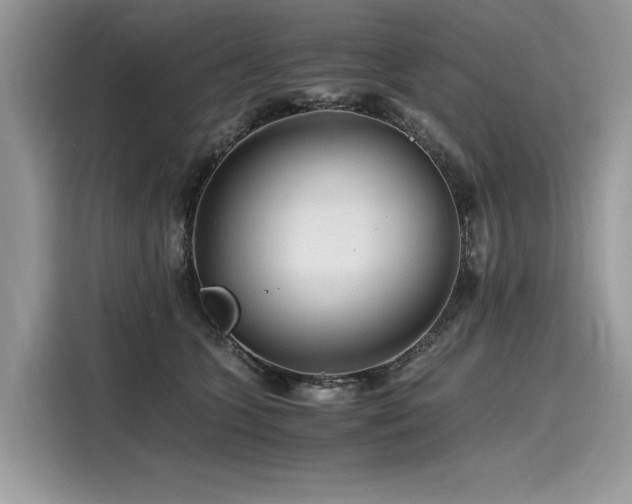 X0000116260563200911301155