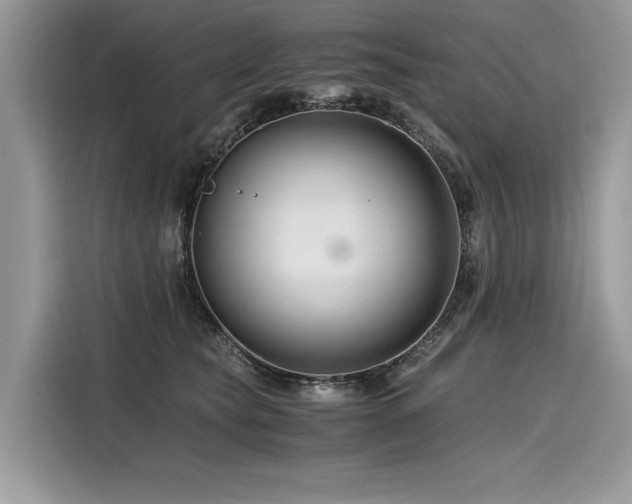 X0000116260565200911301155