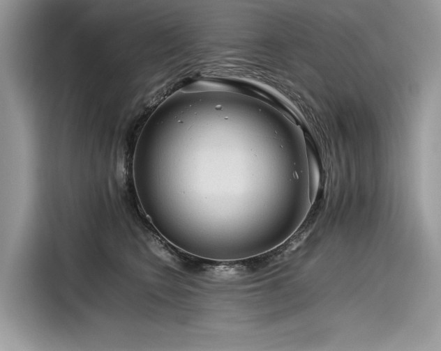 X0000116260566200911301155