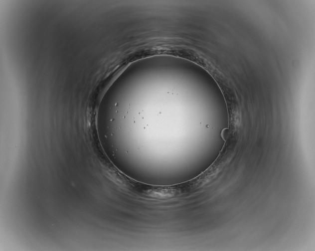 X0000116260567200911301155