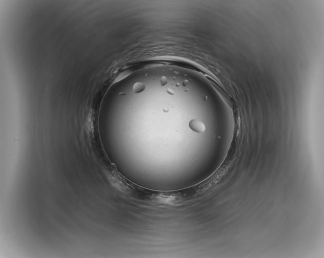 X0000116260570200911301155