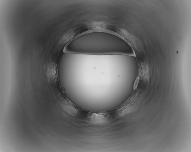 X0000116260573200911301155