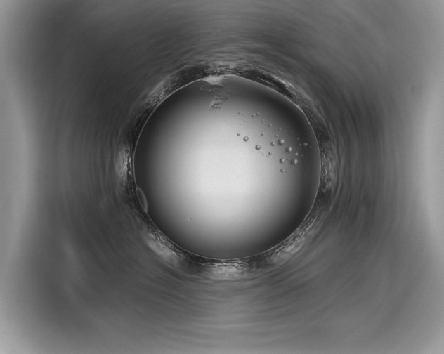 X0000116260574200911301155