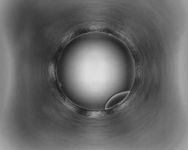 X0000116260575200911301155