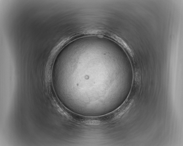 X0000116260577200911301155