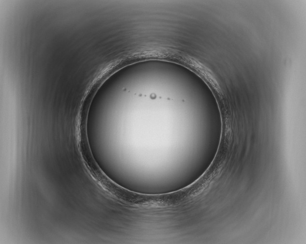 X0000116260578200911301155