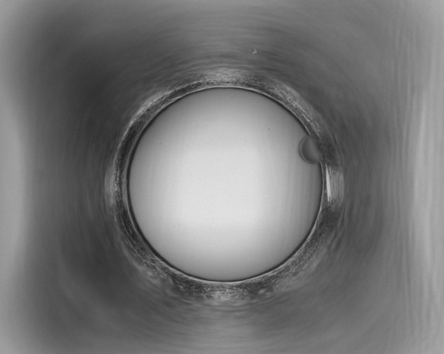 X0000116260579200911301155
