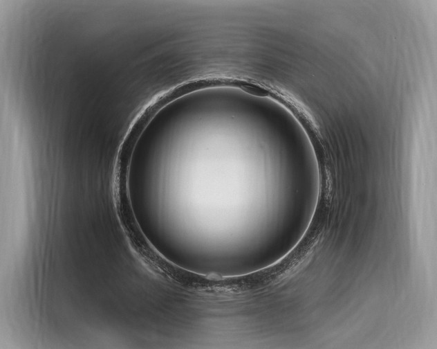 X0000116260580200911301155