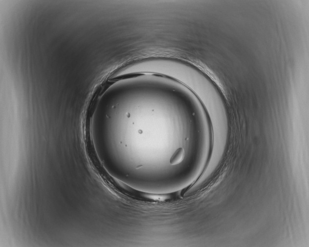 X0000116260581200911301155