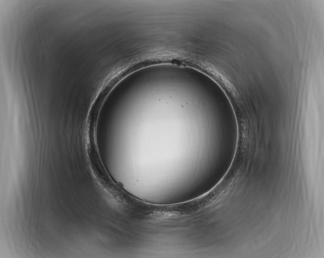 X0000116260582200911301155
