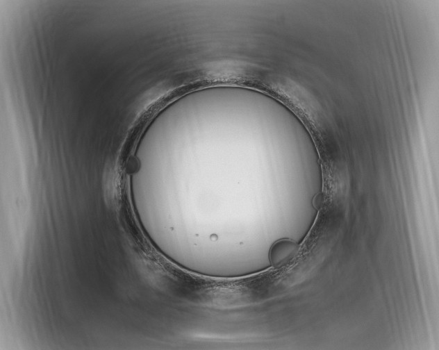 X0000116260583200911301155