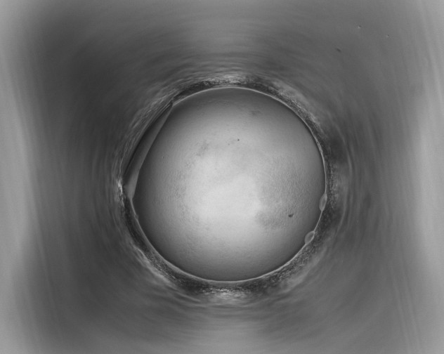 X0000116260585200911301155