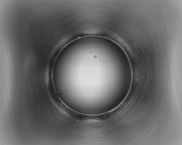 X0000116260586200911301155