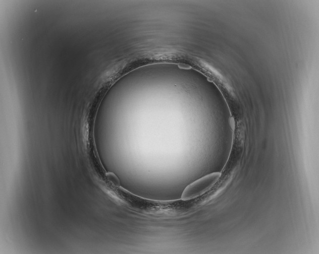 X0000116260589200911301155