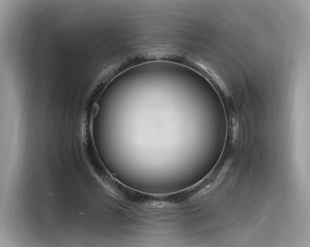 X0000116260590200911301155