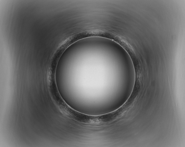 X0000116260591200911301155