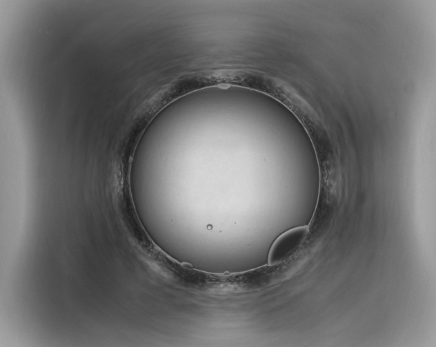X0000116260593200911301155