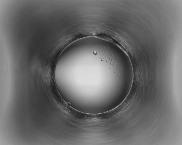X0000116260594200911301155