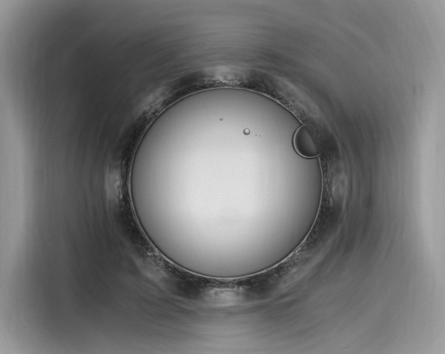 X0000116260595200911301155