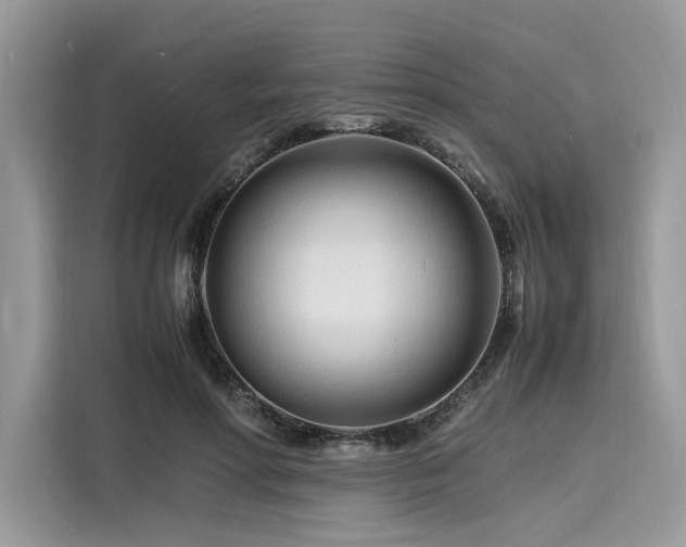 X0000116260598200911301155