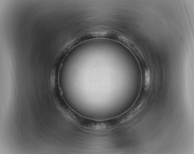 X0000116260600200911301154